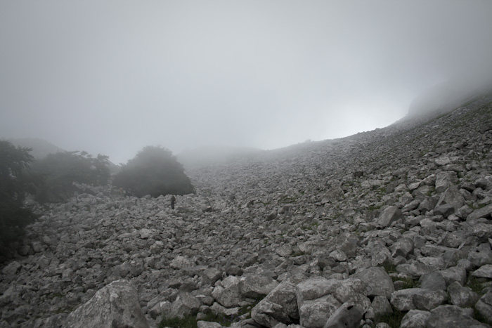 Walking in the mist, Spain (photo by Pola).