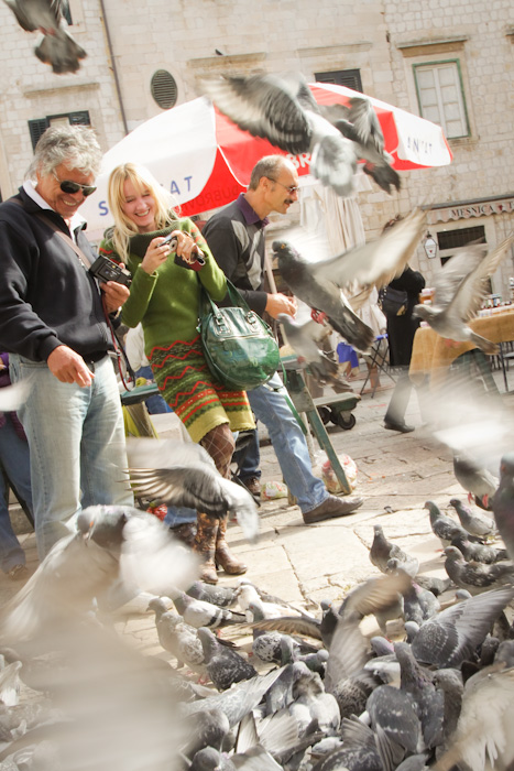Pigeons in the market, Dubrovnik, Croatia.