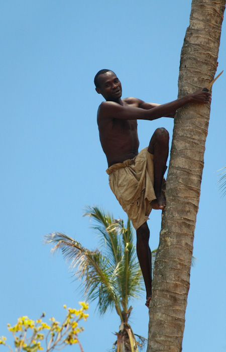 Climbing trees in Tanzania.