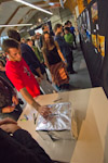 Bigoudn Jongle 2011 by Luke Burrage photo 40.