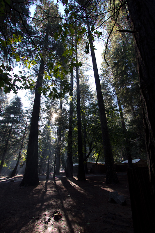 The view from my cabin/tent on Friday morning. The day started with fine weather which was good for my planned walk up to Vernal Falls. But bad for having the the entire path to myself for the third day in a row.
