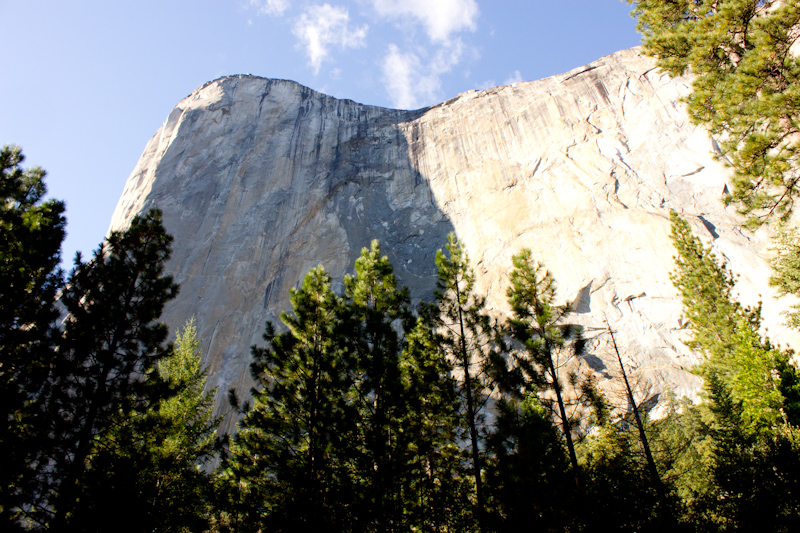 El Capitan from below.