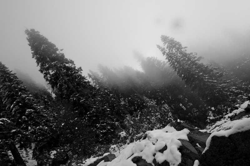 Hiking up into the snow and clouds.