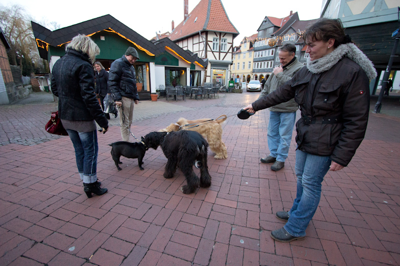 Passout 2011-2012: Shaggy dogs.