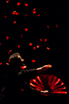 Nederlands Jongleer Festival 2013: Gala Show.